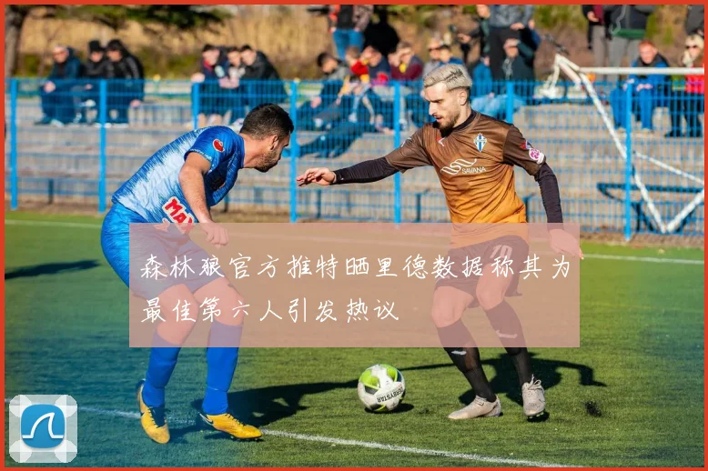 森林狼官方推特晒里德数据称其为最佳第六人引发热议