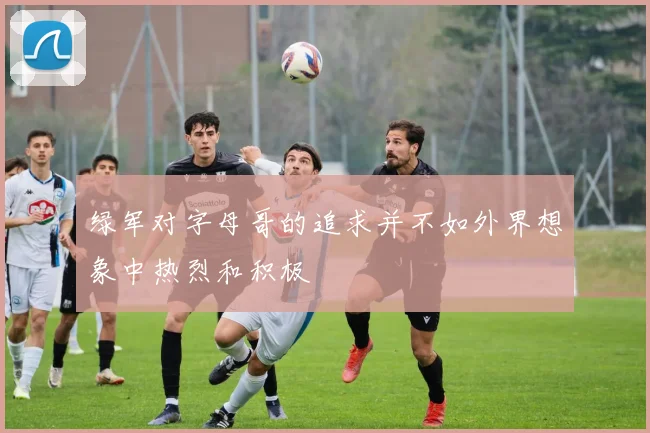 绿军对字母哥的追求并不如外界想象中热烈和积极